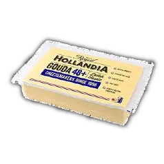 Gouda Holandés
