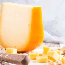 Gouda Hamerland