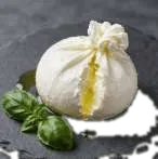 Mozzarella Saputo USA
