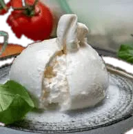 Burrata Natural