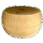 Parmigiano Reggiano D.O.