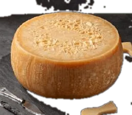 Grana Padano Agriform