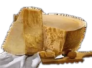 Fontina