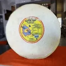 Chihuahua Super Fino
