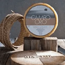 Daisy Campo de Oro