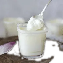 Yogurt Natural