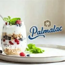 Yogurt Palmalac