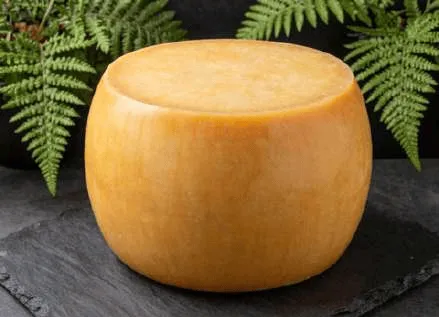 Gouda Nueva Zelanda (Lactalis)