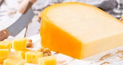 Gouda Uruguayo